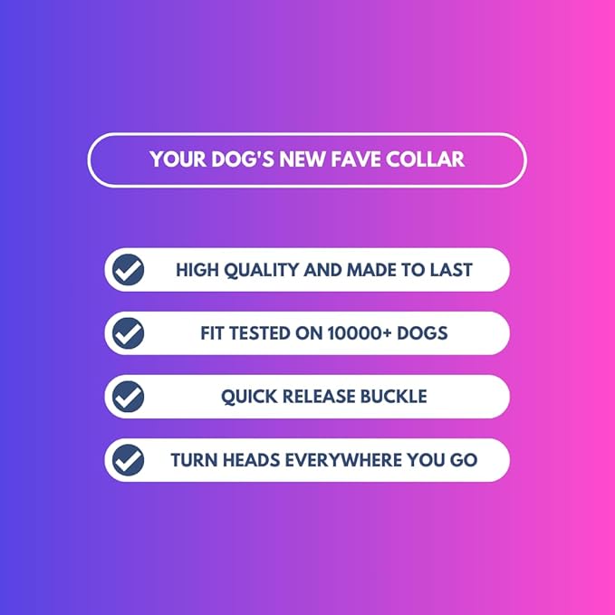 Spark Paws Tactical Dog Collar with Handle - Premium Quality Collar, Robust and Durable Design for Large, Strong Breeds - Pitbulls, Labradors, GSD - Snow Cone - M - 1.5"