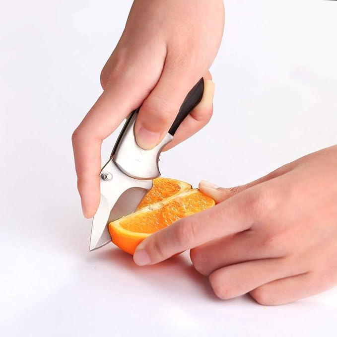 Pocket Knife, Small Folding Wood Handle 2in Blade Stainless Steel Everyday Carry Knife