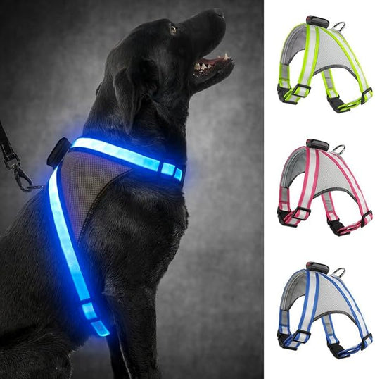 Visinite LED Dog Harness, USB Rechargeable Light Up Dog Vest, 2 Illuminate Modes Glow in The Dark Dog Harness, Adjustable Lighted Pet Harness Light for Night Walking Safety(Blue, M)