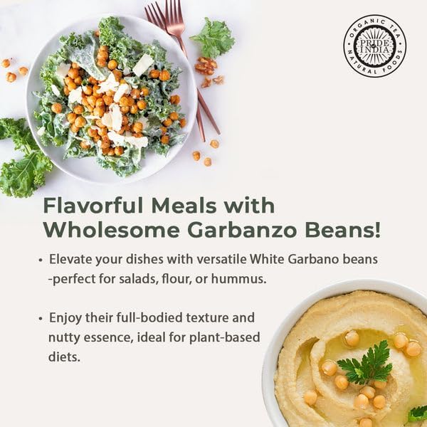Pride Of India - PACK of 6 - Indian Whole White Garbanzo Beans 10mm - Protein & Fiber Rich Kabuli Chana, 1.5 Pound Jar