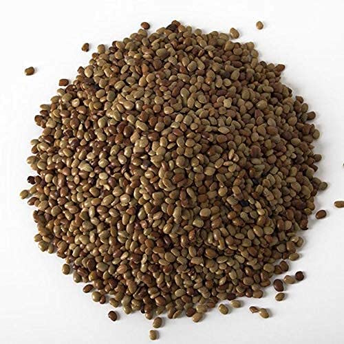 NY SPICE SHOP Horse Gram Lentils ??3 Pound Horse Gram ??Indian Kulthi Beans ??Muthira Seeds ??Macrotyloma uniflorum ??Full of Fiber & Protein