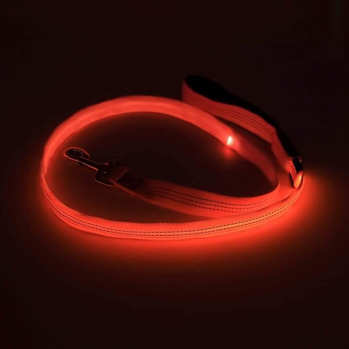 Candofly LED Dog Leash Rechargeable, 4 Ft Glow in The Dark Light Up Dog Leash, Nylon Reflective Dog Rope with Light for Small Medium Large Dogs (Orange)