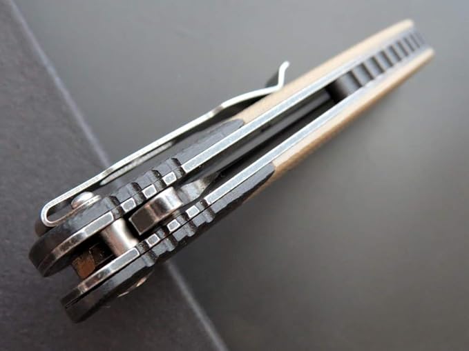 Eafengrow EF67 Pocket Knife with Metal Clip,D2 Steel Blade G10 Handle EDC folding knife Tool Liner Lock for Tourist Outdoor Camping Hiking Tactical (EF67-desert)