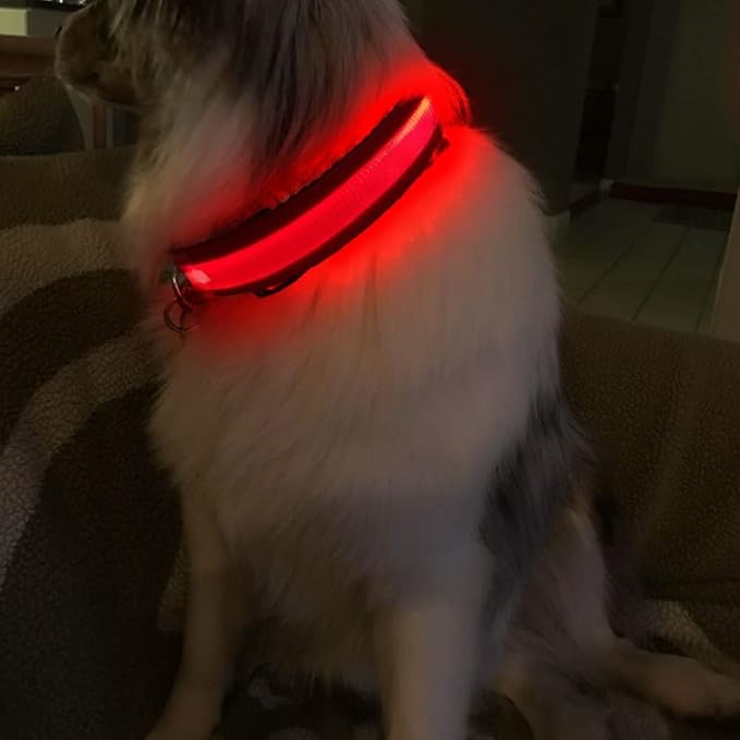 MASBRILL LED Dog Collar,Light Up Dog Collars Rechargeable Waterproof Night Walking Glow Dog Collar for Small Medium Large Dogs