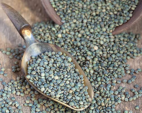Food to Live Organic French Green Lentils, 20 Pounds ??Non-GMO, Whole Dry Beans, Raw, Sproutable, Vegan, Kosher. Rich in Folate, Fiber, and Plant-Based Protein. Great for Soups, Chili and Curries