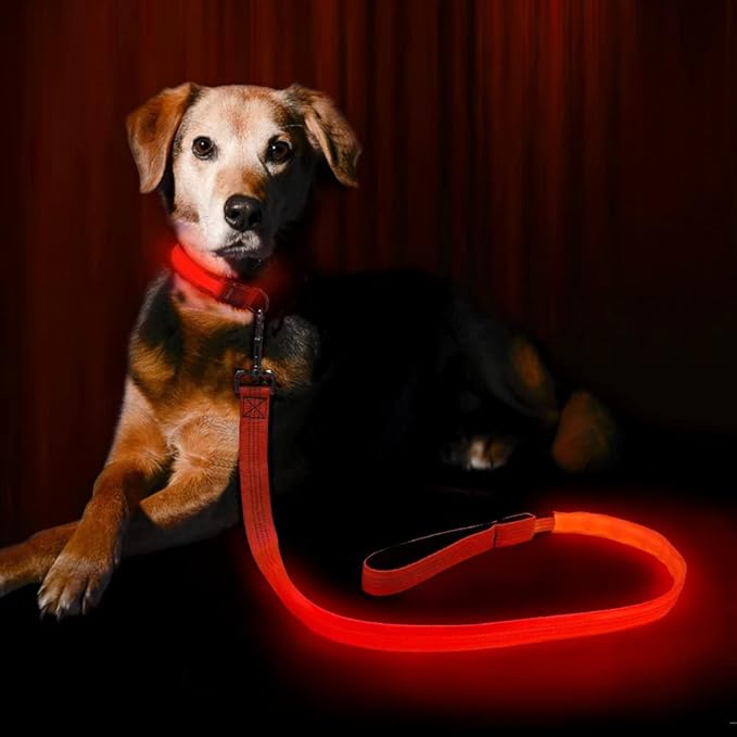 Candofly LED Dog Leash Rechargeable, 4 Ft Glow in The Dark Light Up Dog Leash, Nylon Reflective Dog Rope with Light for Small Medium Large Dogs (Orange)