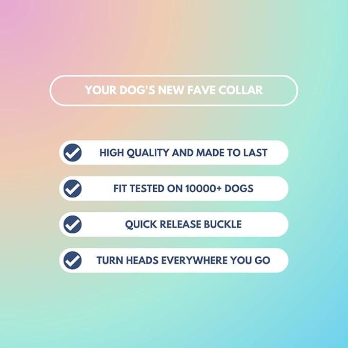 Tactical Dog Collar with Handle - Premium Quality Collar, Robust and Durable Design for Large, Strong Breeds - Pitbulls, Labradors, GSD - Pastel Icing - S - 1.5"