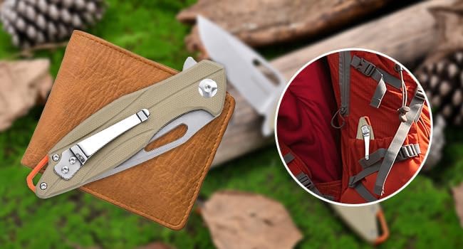 Folding Pocket Knife with D2 Steel Blade, G10 Handle, Black, 3.43 Inch EDC Knife, Pocket Clip for Camping, Survival, Hiking