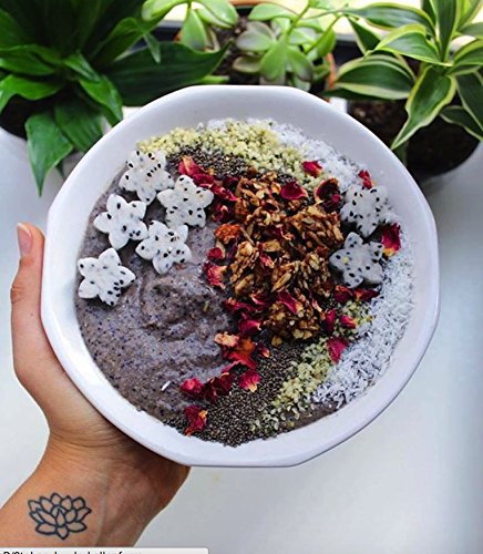 Lark Ellen Farm Berrylicious Granola Clusters: Raw, Organic, Vegan. Low Carb, Paleo. Gluten-Free Bites. Healthy Snack, Healthy Breakfast, Cereal or Yogurt 8 oz - 3 Count