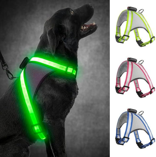 Visinite LED Dog Harness, USB Rechargeable Light Up Dog Vest, 2 Illuminate Modes Glow in The Dark Dog Harness, Adjustable Lighted Pet Harness Light for Night Walking Safety (Green, S)
