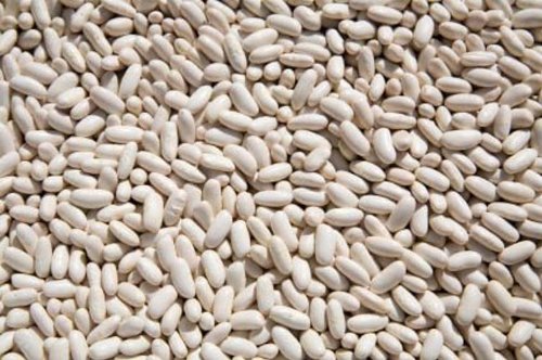 OliveNation Organic White Cannellini Beans, Dry White Kidney Beans, Non-GMO, Gluten Free, Vegan - 5 pounds