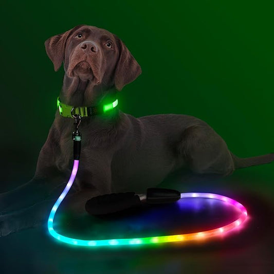 YFbrite Waterproof Light up Dog Leash with 15 Flashing Modes - Super Bright LED Dog Leash for Small Medium Large Dogs - Type-c Rechargeable Dogs Leashes Light (Multi-Color, 4FT (120cm))