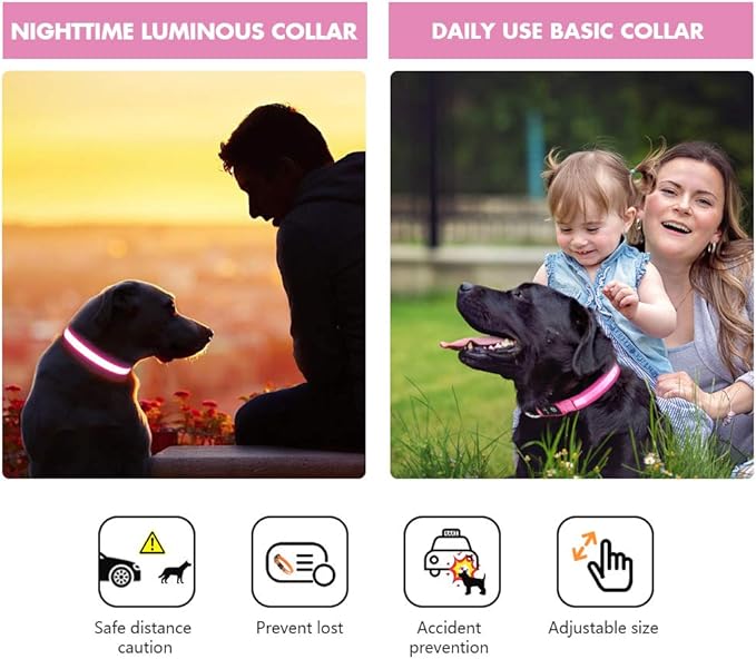 MASBRILL Light Up Collar, Glow LED Rechargeable Flashing Night Walking Collar - Waterproof, 4 Colors, 3 Sizes for Small to Large Dogs