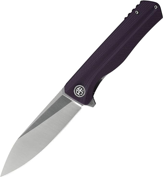 Petrified fish G10 handle D2 steel blade 2CR13 liner ball bearing flipper folding knife camping hunting EDC pocket tool PF818 (Purple, Satin)