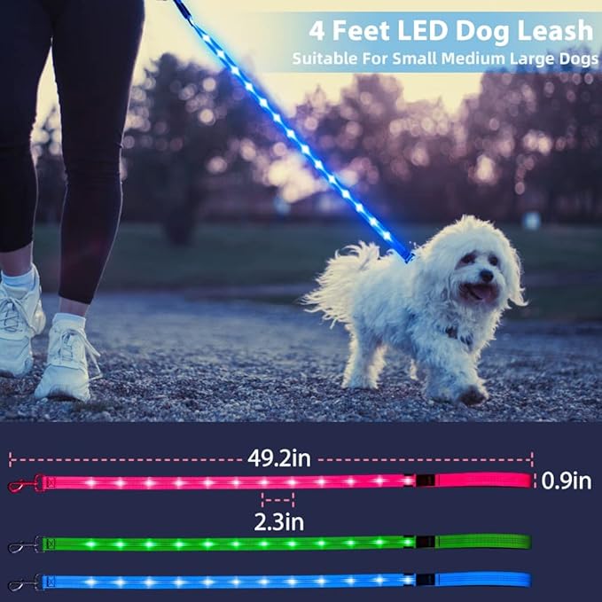 Candofly Light Up Dog Leash - 4 Ft Glowing Pet Leash Reachargeable - Nylon LED Dog Leash for Night Walking (Sky Blue)
