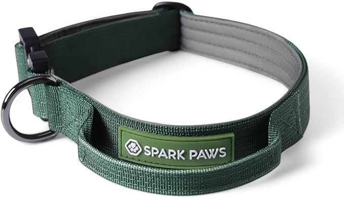 Spark Paws Tactical Dog Collar - Heavy Duty, Premium Quality, Thick and Durable for Large and Medium Dogs - Solid Green - XS - 1"