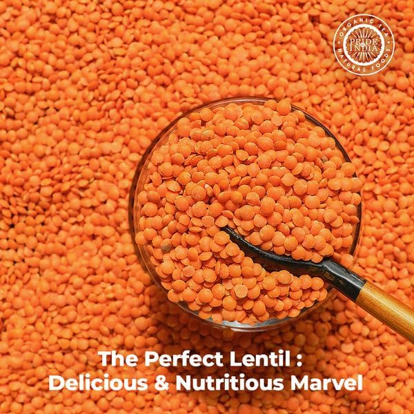 Pride Of India - PACK of 6 - Indian Split Masur Red Lentils - Protein & Fiber Rich Masoor Dal, 1.5 Pound Jar