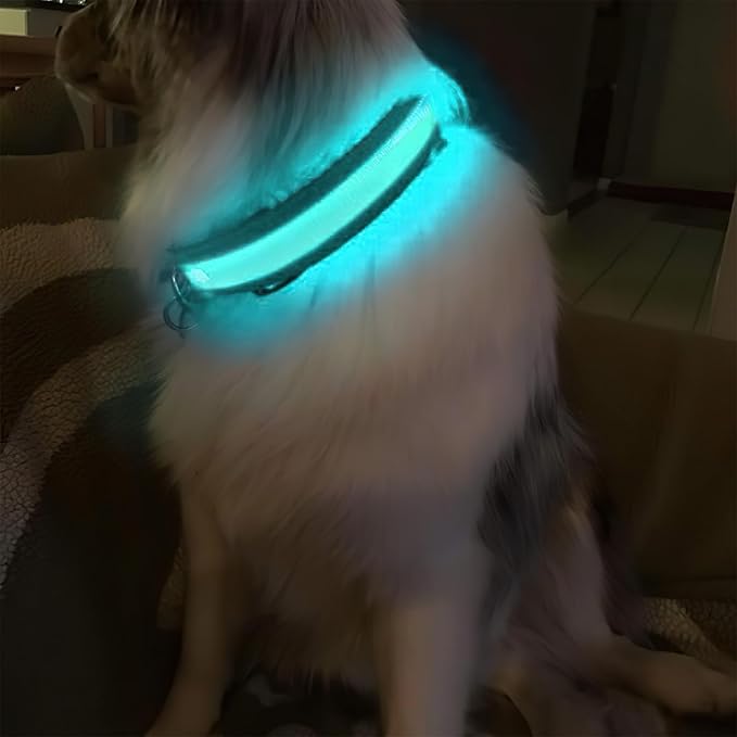 MASBRILL Light Up Dog Collars - LED Dog Collar Rechargeable Lighted Dog Collars Resistant-Water Night Walking Glow in The Dark Collars