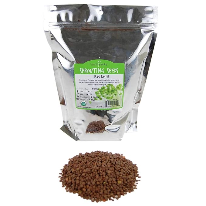 Organic Red Lentil Sprouting Seeds -2.5 Lbs - Handy Pantry Brand - Red Lentils- Perfect for Garden Seeds, Gardening, Salad, Soup, Sprouts & Food Storage
