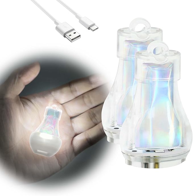 Mini Lantern LED Flashlight, Small Keychain Flashlight Rechargeable USB, Waterproof Pocket Purse Light with Magnetic for Camping Nighttime, EDC Gear Tools Keychian Light (White-2Pcs)