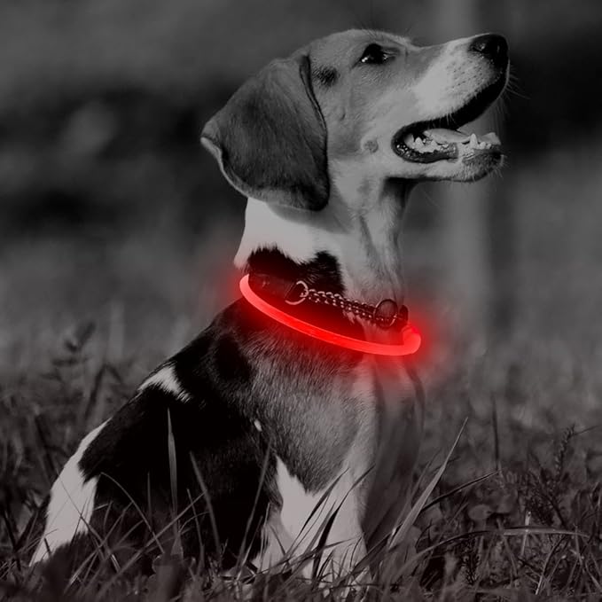 Illumifun LED Dog Collar, USB Rechargeable Light Up Dog Collar Glow in The Dark, Fashion Cuttable Dog Collar Light for Nighttime Walking (Red)