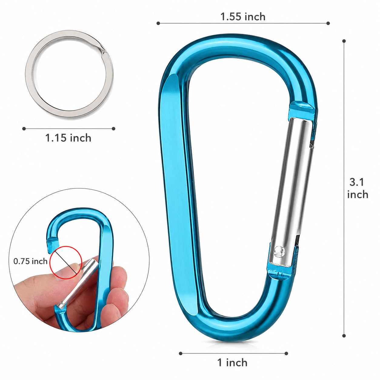 CampTek 6PCS Carabiner Caribeaner Clip,3" Large Aluminum D Ring Shape Carabeaner Keychain Hook