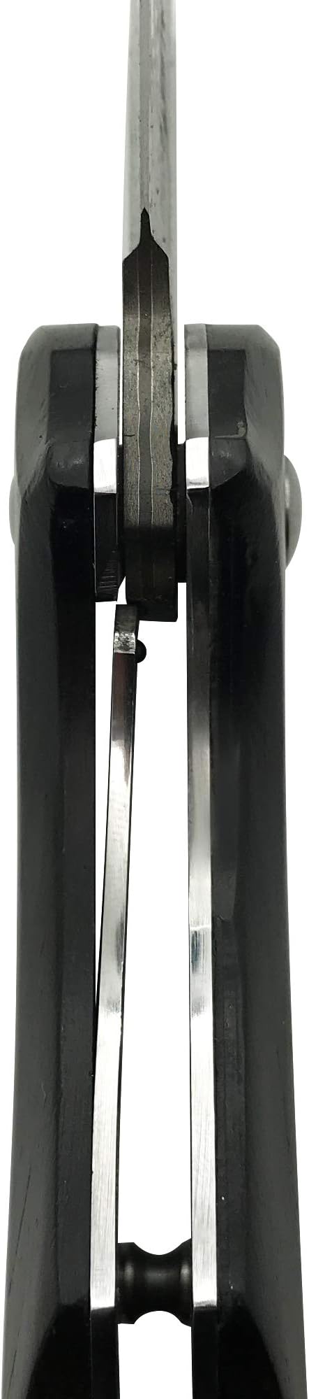 ALBATROSS Premium Folding Pocket Knife - EDC Mini VG10 Damascus Steel with 2" Blade - Ebony Wood Handle - Compact Outdoor Camping Knife with Gift Box - HGDK024