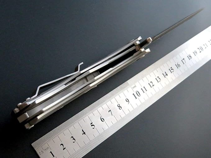 Eafengrow Folding Pocket Knife with D2 Blade Steel Handle Camping Tactical Knife (EF204-silver)