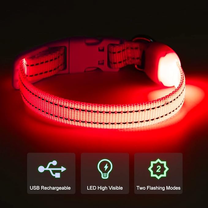 Light Up Dog Collar for Small Dogs - Rechargeable Puppy LED Collar Glowing Dog Lights for Night Walking (X-Small, Red)