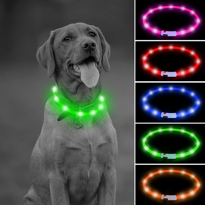 Illumifun LED Dog Necklace, USB Rechargeable Light Up Dog Collars, Flahing Dog Collar Light for Your Dogs Glow in The Dark (Green-Silicone)