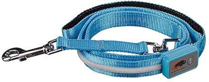 BLAZIN Light Up Dog Leash LED - 1,000 Feet of Visibility - USB Rechargeable Waterproof Glow in The Dark Dog Leash - 4 Foot, Light Blue