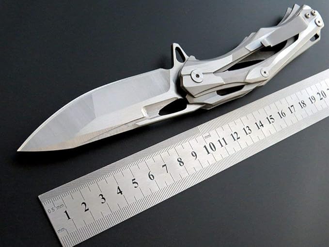 Eafengrow Folding Pocket Knife with D2 Blade Steel Handle Camping Tactical Knife (EF204-silver)