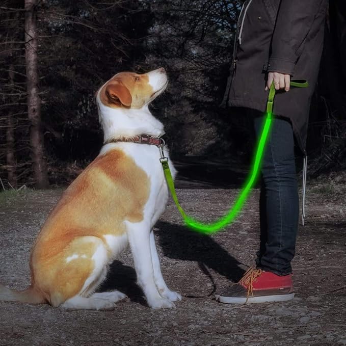 Candofly Glowing LED Dog Leash, Rechargeable Pet Leash with Lights, 4 Ft Light Up Dog Leash for Night Walking Keep Your Pets Visible (Neon Green)