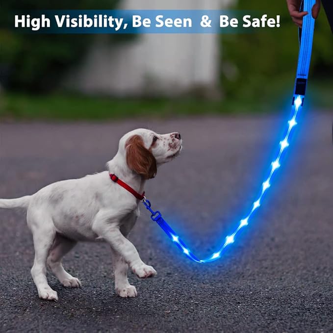 Candofly Light Up Dog Leash - 4 Ft Glowing Pet Leash Reachargeable - Nylon LED Dog Leash for Night Walking (Sky Blue)