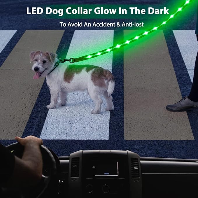 Candofly Light Up Dog Leash, Reachargeable Pet Leash with Light, 4 Ft Glowing Dog Rope Lead for Night Walking (Green)