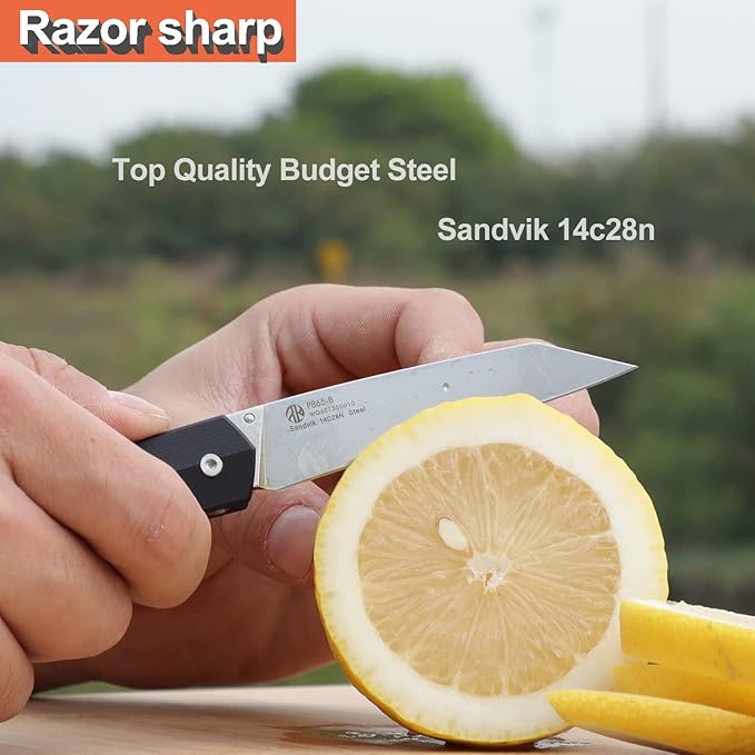 Ruike P865, EDC Camping Folding Pocket Knife,14c28n Steel,Liner Lock,G10 Handle,Blet Clip