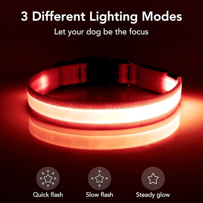 Vizpet LED Dog Collar, Light Up Dog Collar Adjustable USB Rechargeable Super Bright Safety Light Glowing Collars for Dogs(Small,Red)