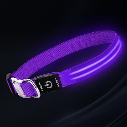 LED Dog Collar with Metal Buckle - USB Rechargeable Glow Collar for Dogs, Waterproof Light Up Dog Collar w/Reflective Strips - Adjustable Night Safety Collars by PetIsay(Purple,Large)