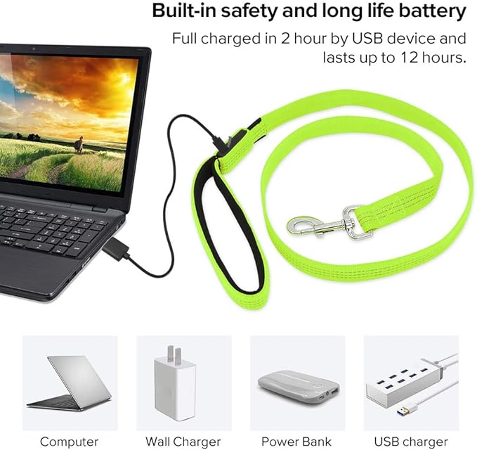 Candofly Glowing LED Dog Leash, Rechargeable Pet Leash with Lights, 4 Ft Light Up Dog Leash for Night Walking Keep Your Pets Visible (Neon Green)