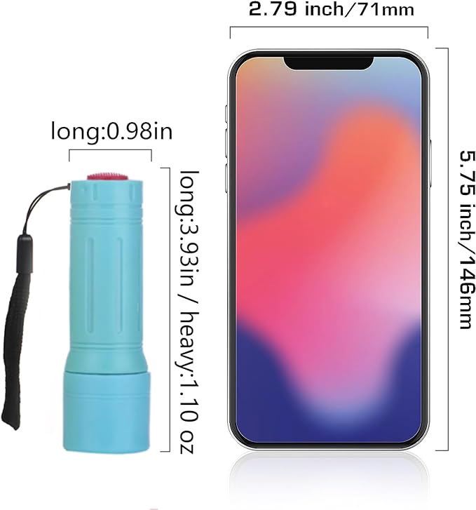 9-LED Mini Flashlight, Small Multicolor Flashlights with Lanyard, Batteries Included, for Hurricane Supplies Party Favors, Gift, Christmas Gifts Stocking Stuffers