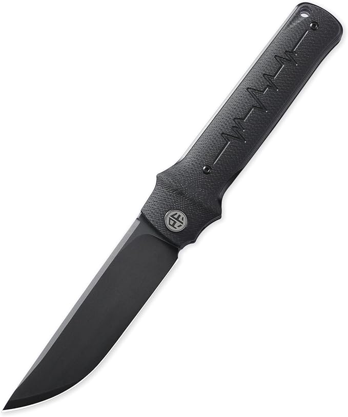 Petrified fish PFB04 Tena Folding Knife, 3.82" D2 Steel Black Stonewashed Blade G10 Handle Pocket Folding knife for EDC Camping Outdoor (Black Black Stonewashed)