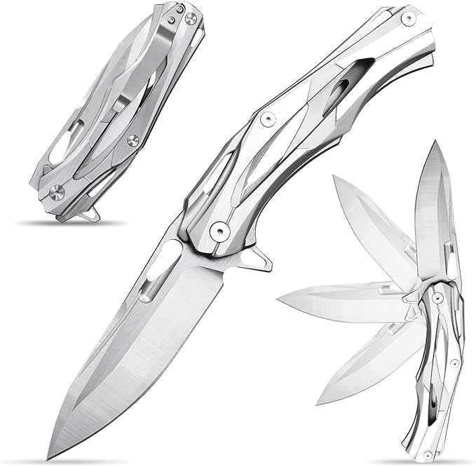 Eafengrow Folding Pocket Knife with D2 Blade Steel Handle Camping Tactical Knife (EF204-silver)