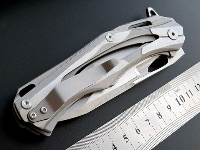 Eafengrow Folding Pocket Knife with D2 Blade Steel Handle Camping Tactical Knife (EF204-silver)