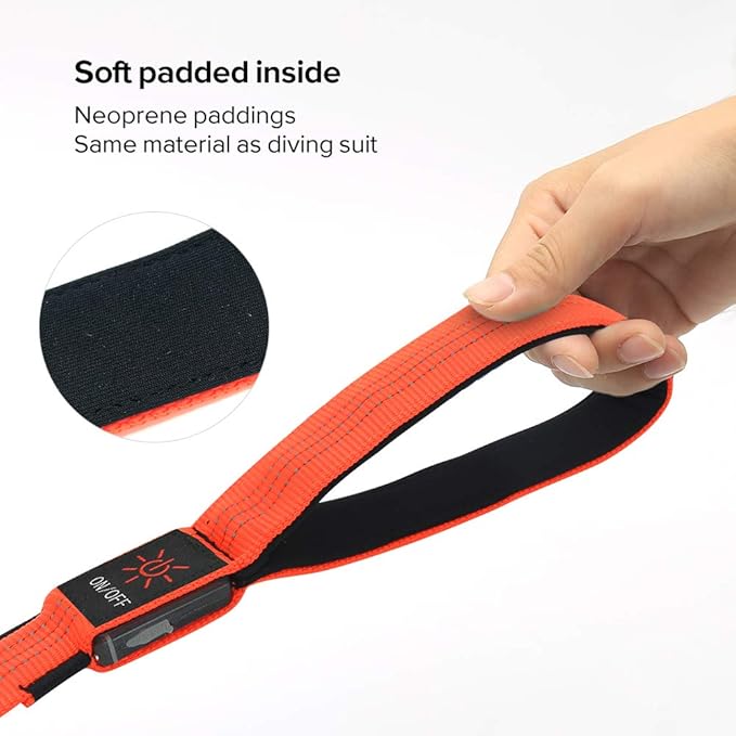 Candofly LED Dog Leash Rechargeable, 4 Ft Glow in The Dark Light Up Dog Leash, Nylon Reflective Dog Rope with Light for Small Medium Large Dogs (Orange)