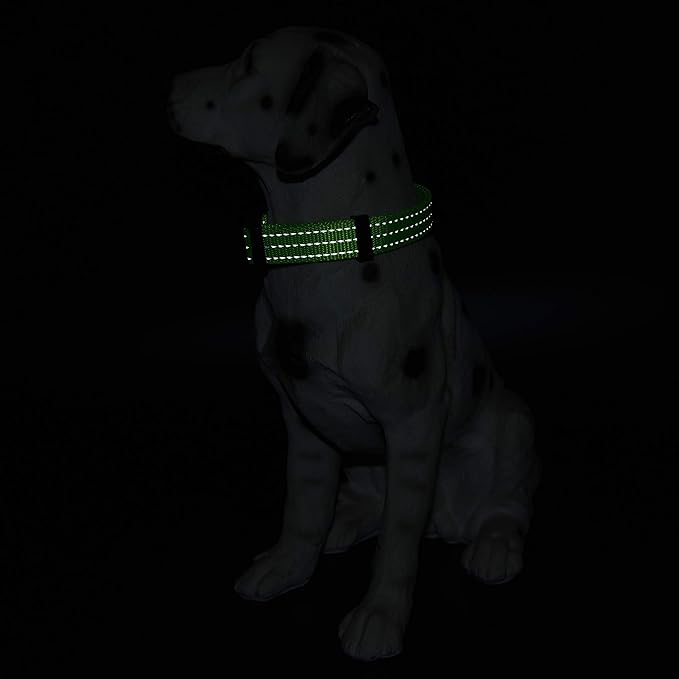 Mile High Life Dog Collar | Nylon Reflective Dog Collars | Light Weight Puppy Collars | Lime Green Dog Collars for Small Dogs (Solid Lime Green, Small)