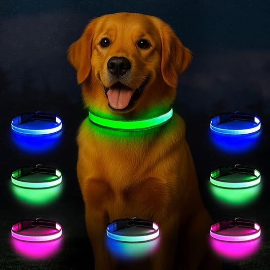 Light Up Dog Collar, Multicolor LED Dog Collar with 7 Modes, USB-C Rechargeable Reflective Glow Collar, Waterproof & Adjustable Design with Battery Indicator for Safe Night Walks (Small)