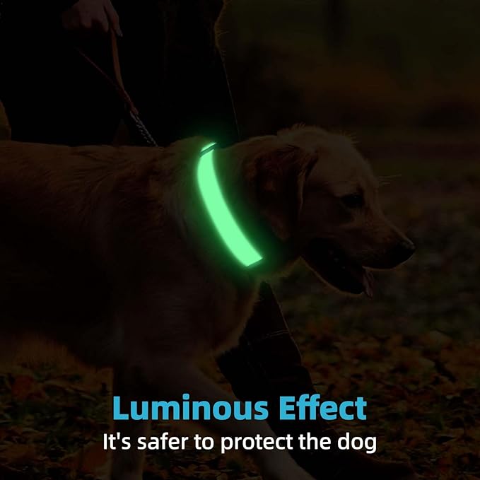 Personalized Dog Collars for Small & Large Dogs with Custom Name and Phone Numbers, Glow in The Dark Adjustable Glowing Luminous Collar(Fluorescent Glow)