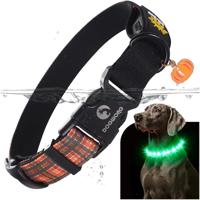 DOGWONG LED Dog Collar - Fall Orange Plaid Heavy Duty Light up Dog Collars - Rechargeable Waterproof - Lighted Dog Collars for Night Walking, Hiking, Camping(Orange Plaid,L)