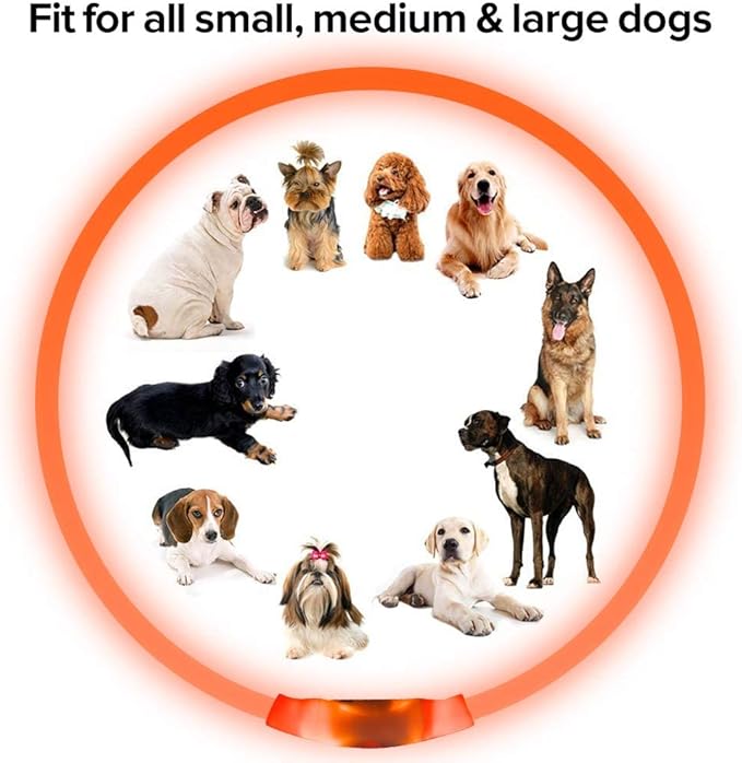 Illumifun LED Dog Collar, USB Rechargeable Light Up Dog Collars, TPU Cuttable Glow Dog Collar Lights for Night Walking (Orange)