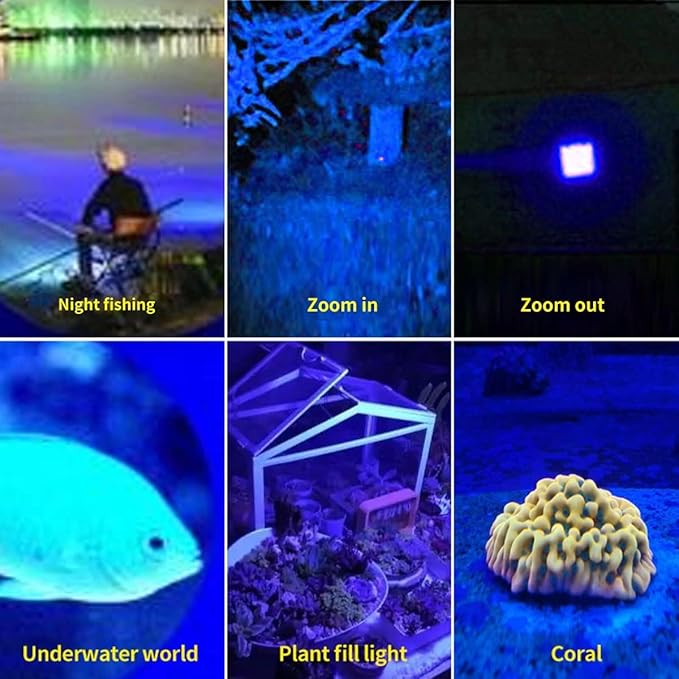 Rechargeable Black Light Flashlight Mini, Blue & UV Black Light, 3 Modes